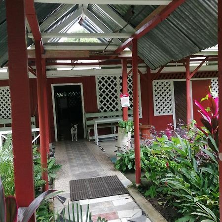 Hospedaje Meryscar Tortuguero Exterior photo