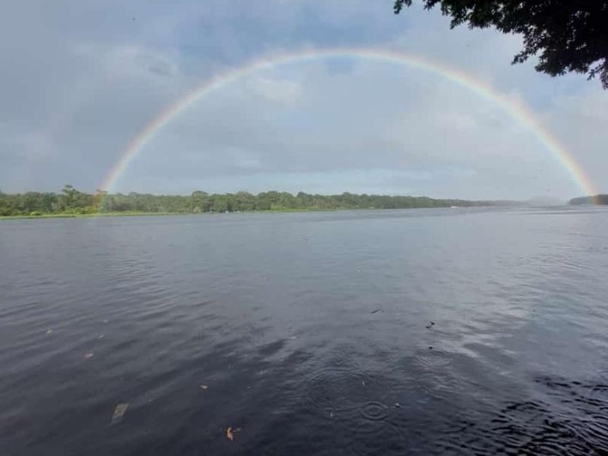 Hospedaje Meryscar Tortuguero Exterior photo
