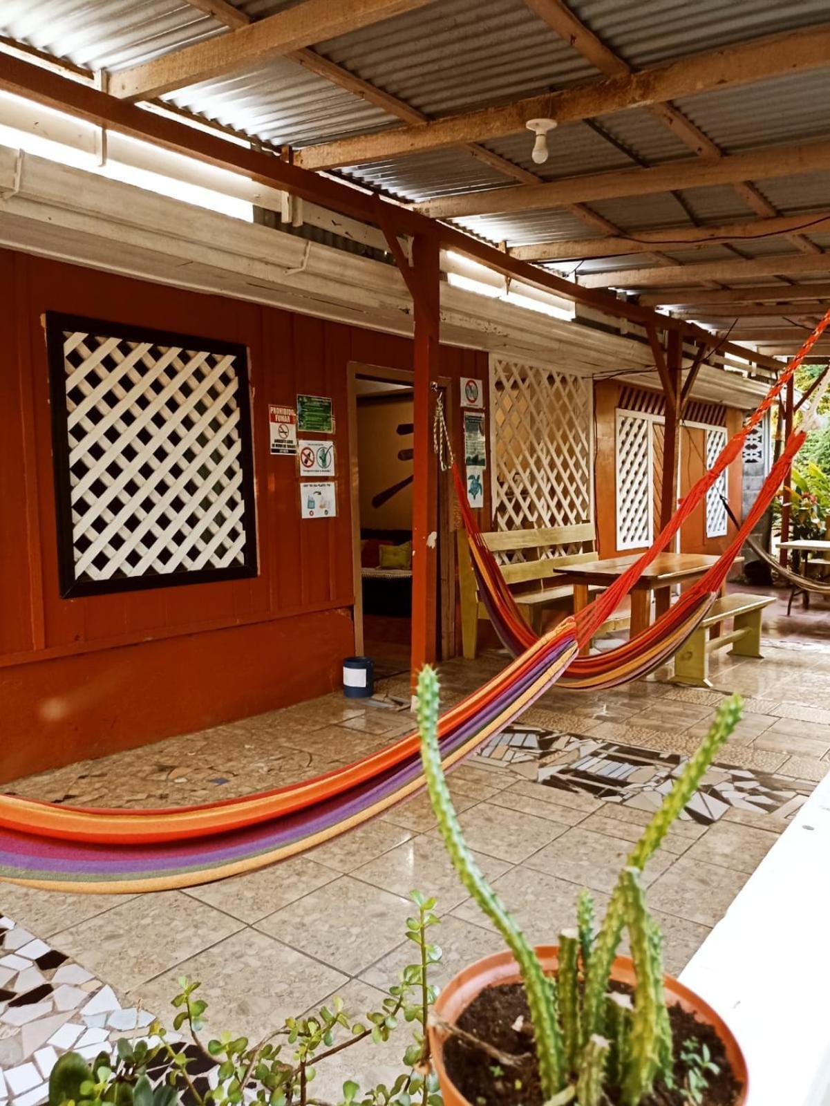 Hospedaje Meryscar Tortuguero Exterior photo