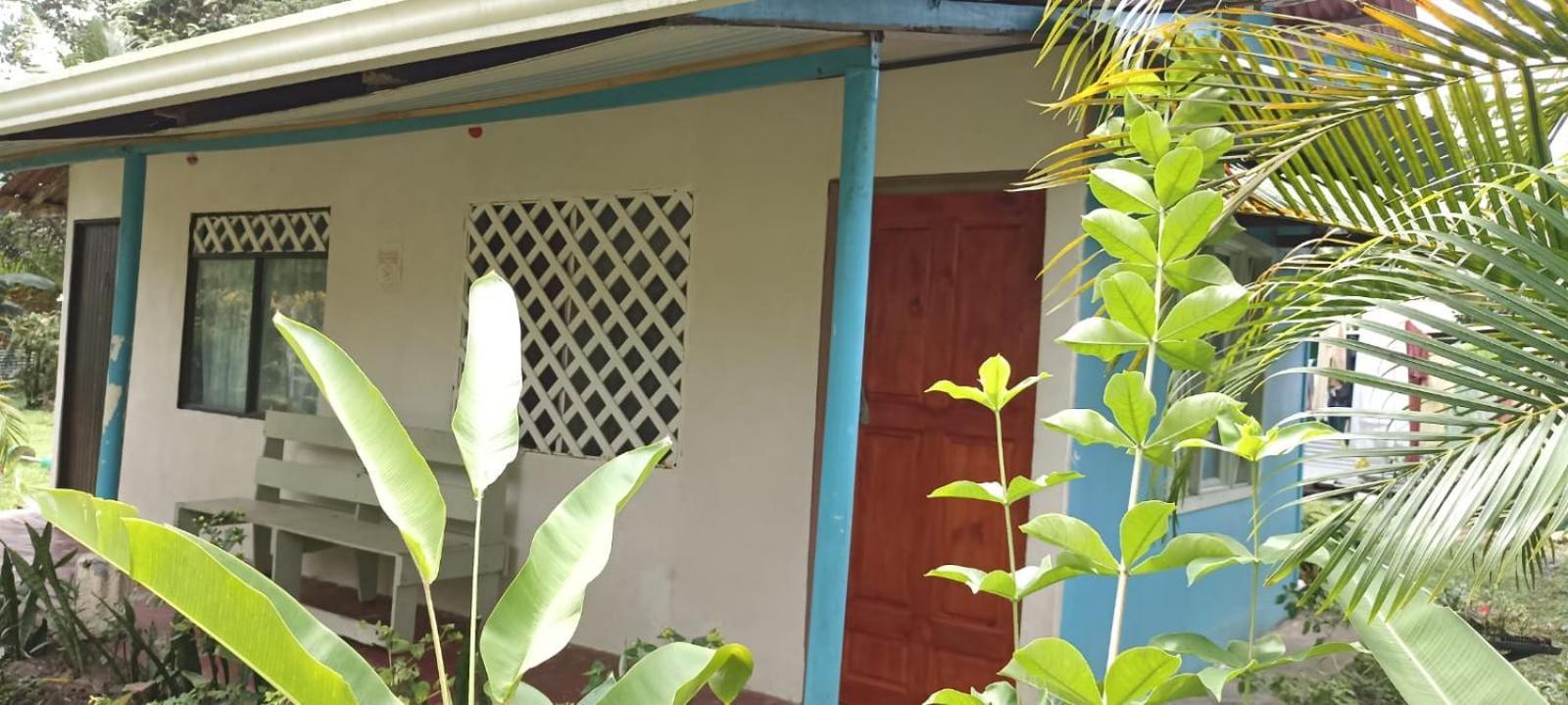 Hospedaje Meryscar Tortuguero Exterior photo