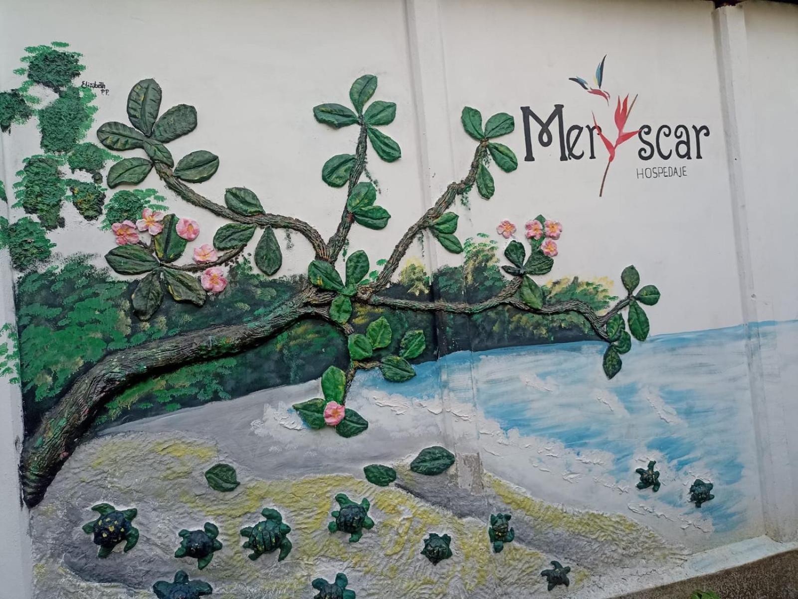 Hospedaje Meryscar Tortuguero Exterior photo
