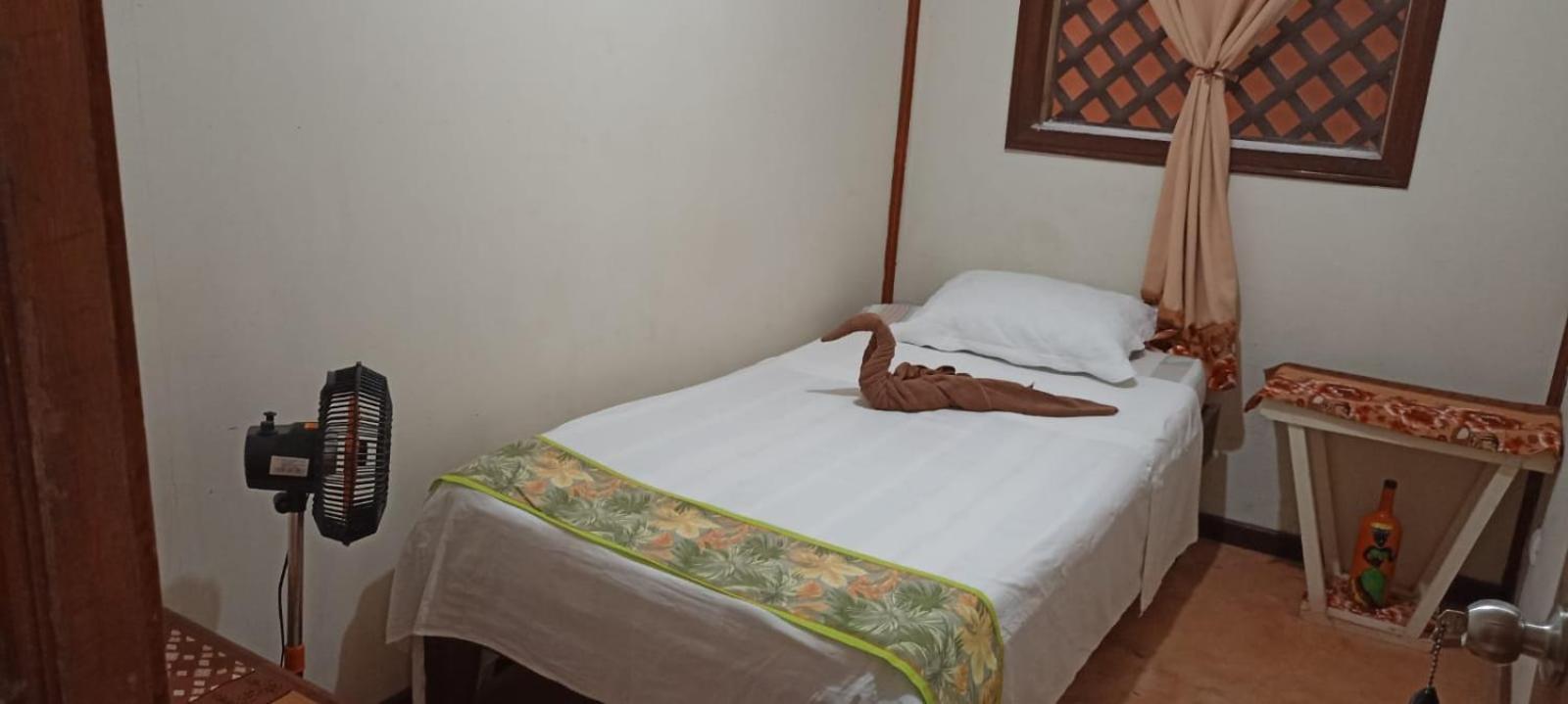 Hospedaje Meryscar Tortuguero Exterior photo