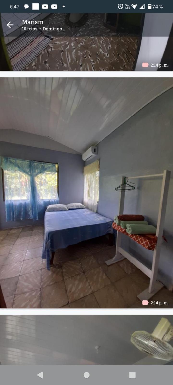 Hospedaje Meryscar Tortuguero Exterior photo