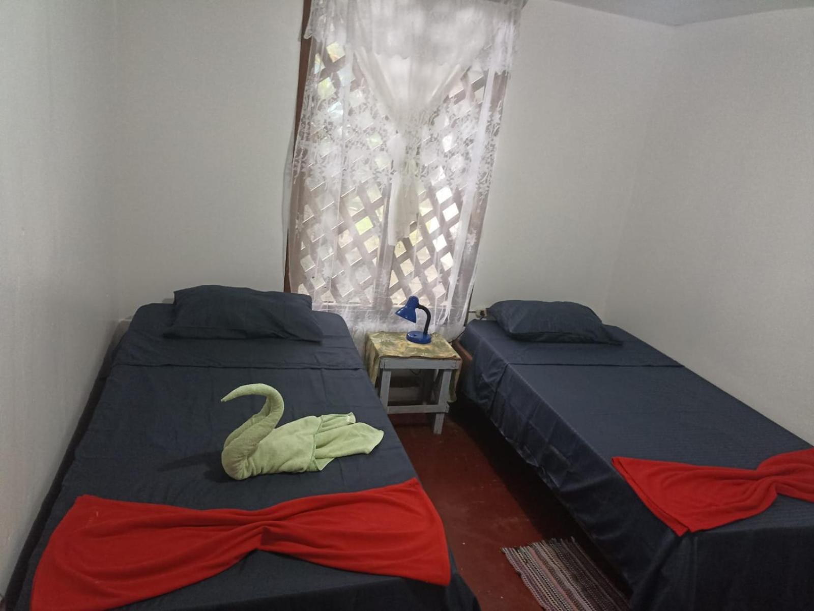Hospedaje Meryscar Tortuguero Exterior photo