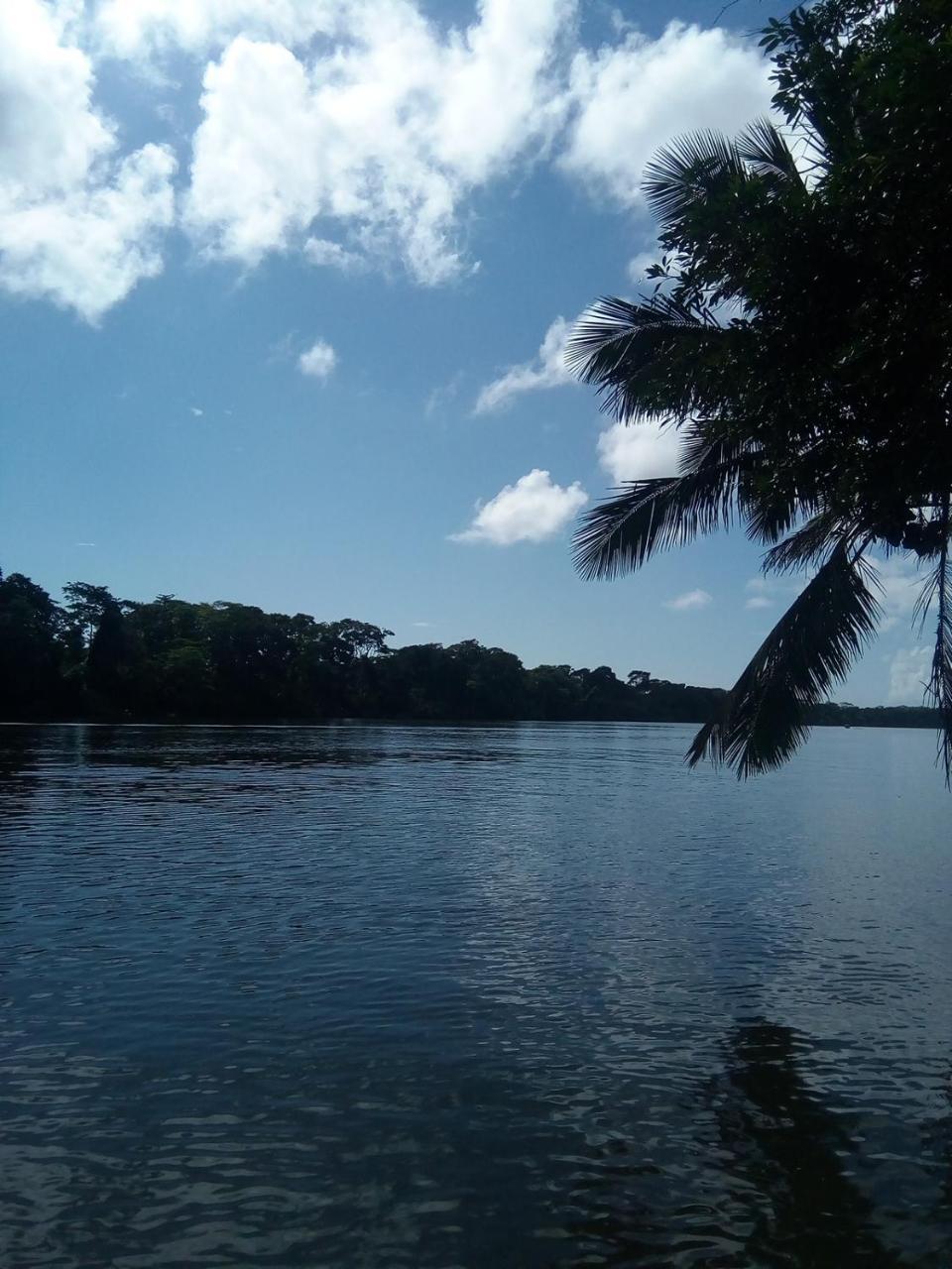 Hospedaje Meryscar Tortuguero Exterior photo
