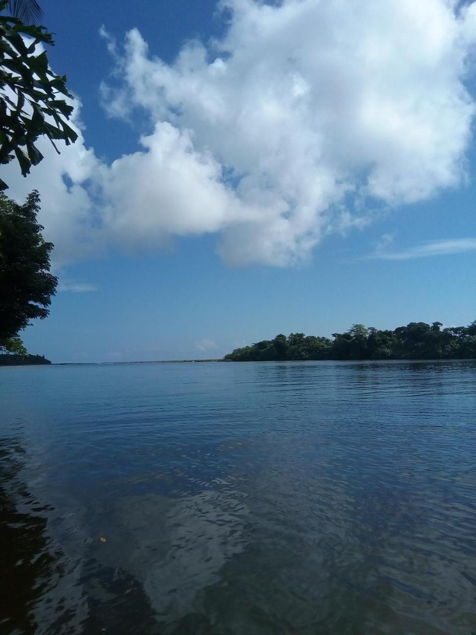 Hospedaje Meryscar Tortuguero Exterior photo