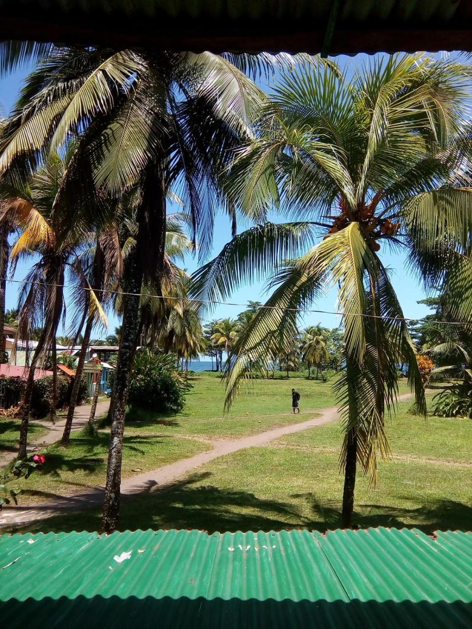 Hospedaje Meryscar Tortuguero Exterior photo