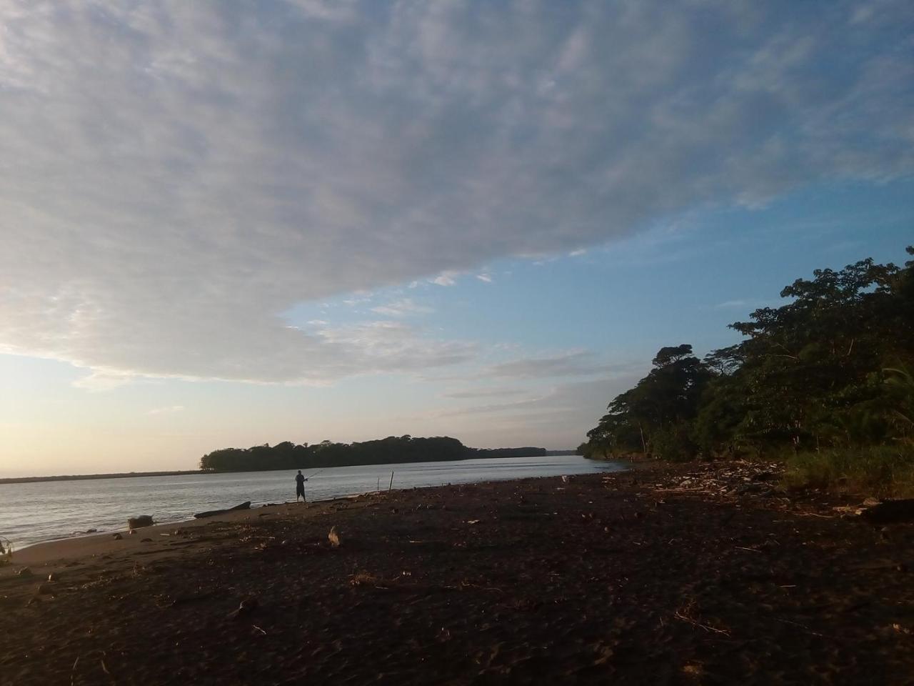 Hospedaje Meryscar Tortuguero Exterior photo